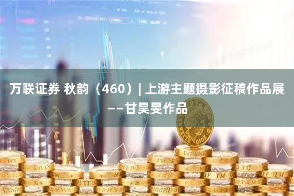 万联证券 秋韵（460）| 上游主题摄影征稿作品展——甘昊旻作品