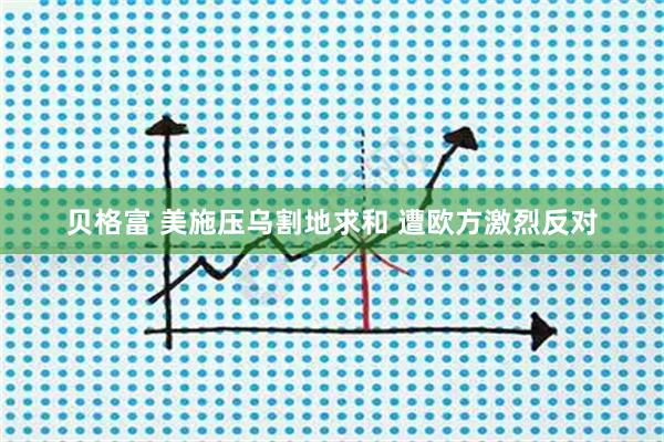 贝格富 美施压乌割地求和 遭欧方激烈反对