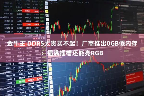 金牛王 DDR5太贵买不起！厂商推出0GB假内存：插满插槽还能亮RGB